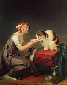 Kattens lunsj